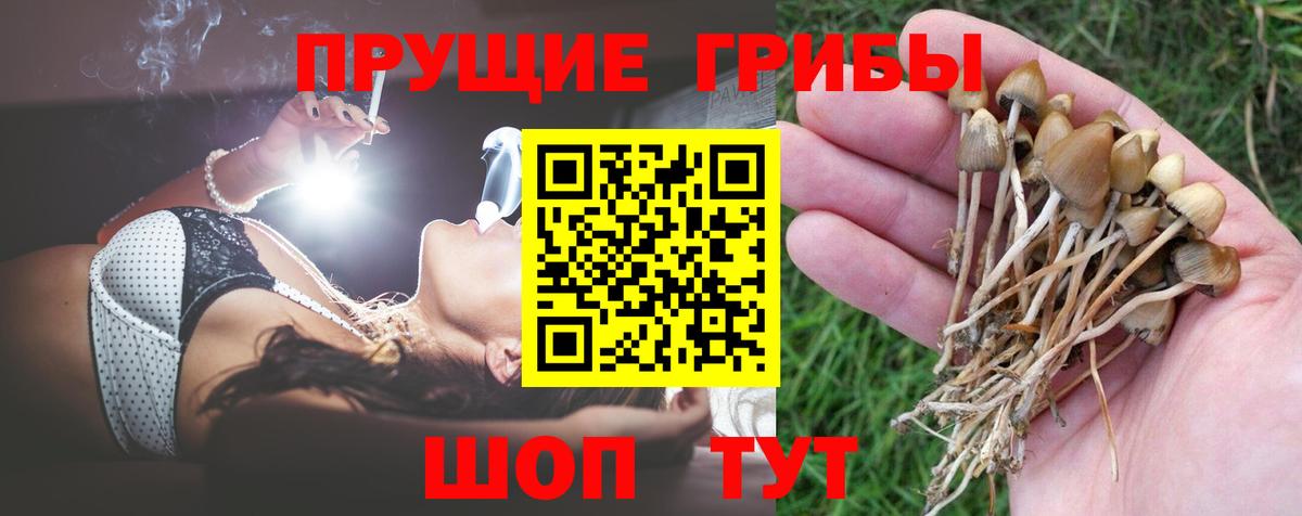 продажа наркотиков  Галлюциногенные грибы Psilocybine cubensis  Вход с VPN  Калач-на-Дону 