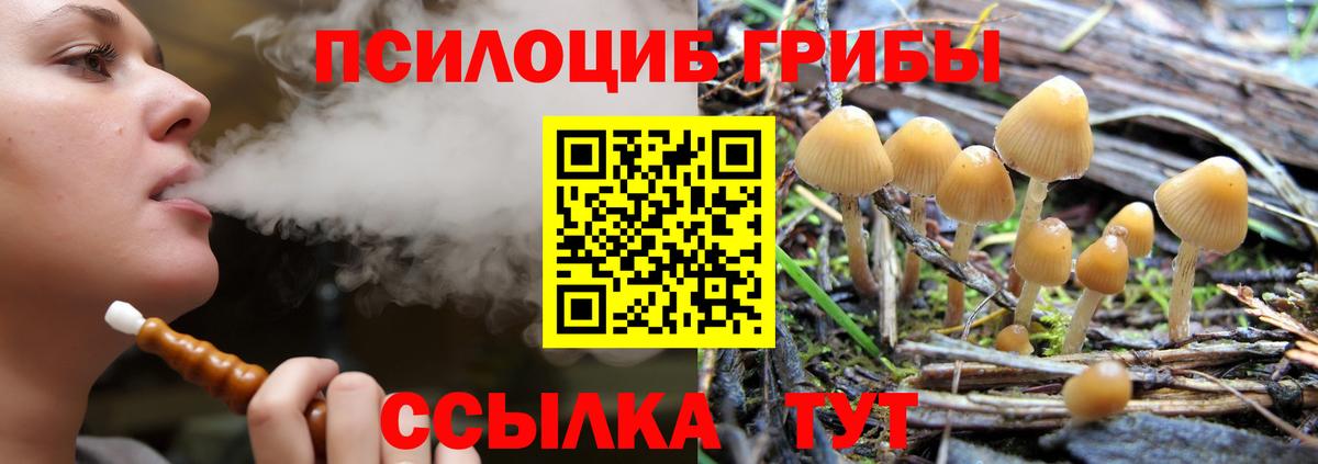 Галлюциногенные грибы Cubensis Калач-на-Дону